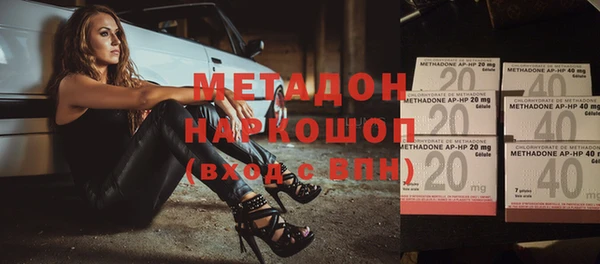 гидра Ельня