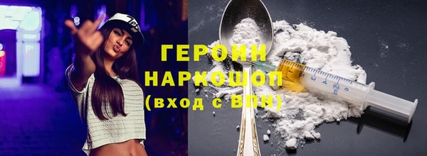 гидра Ельня