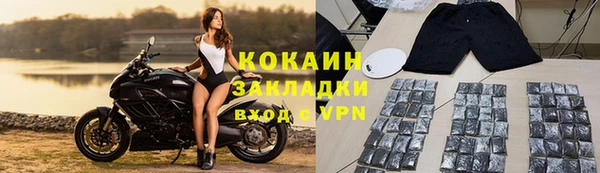 ALPHA PVP Елизово