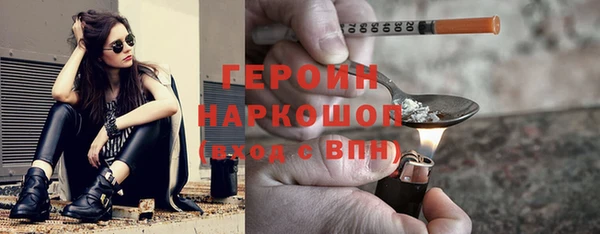 гидра Ельня