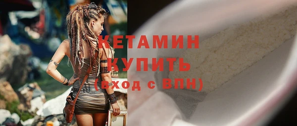 гидра Ельня