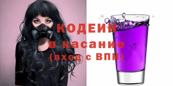 гидра Ельня