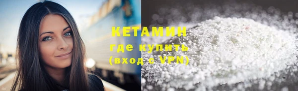 гидра Ельня