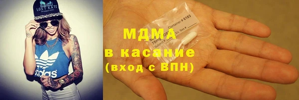гидра Ельня