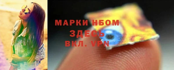 гидра Ельня