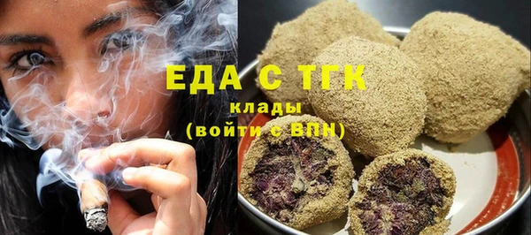 гидра Ельня