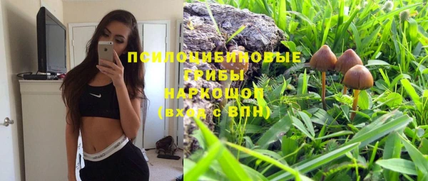 ALPHA PVP Елизово