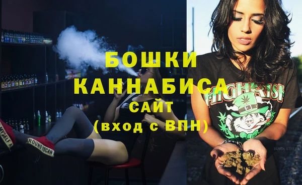 гидра Ельня