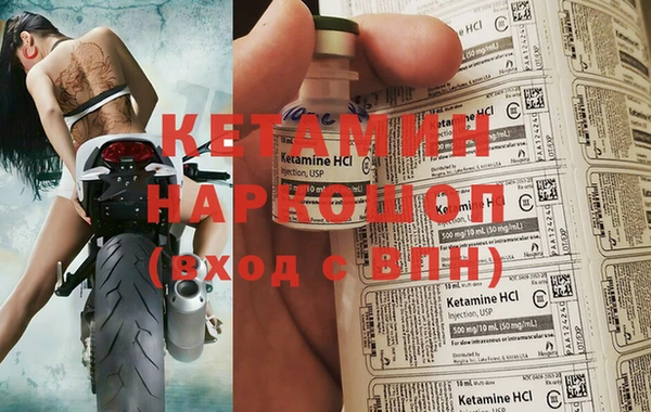 гидра Ельня