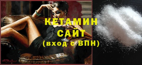 гидра Ельня