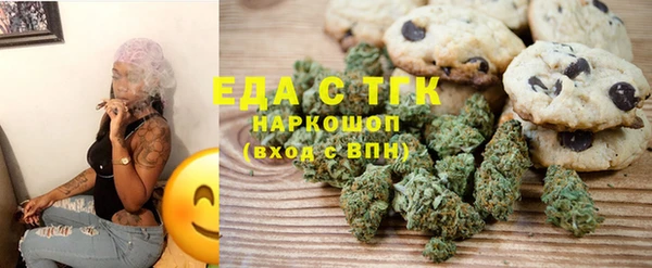 гидра Ельня