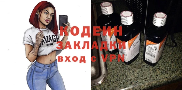 гидра Ельня