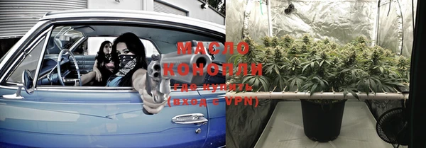 гидра Ельня