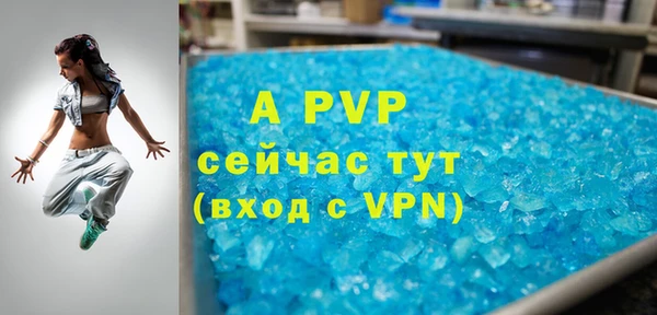 гидра Ельня